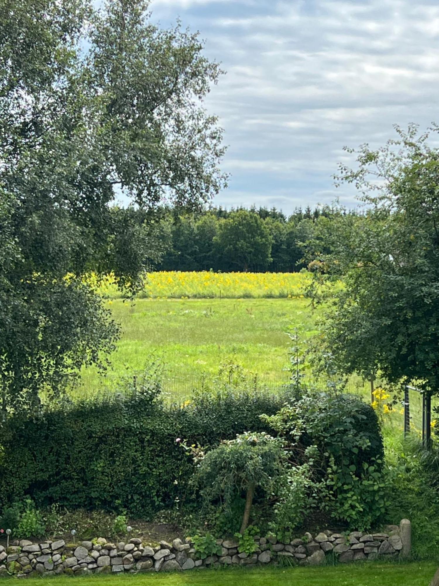 Vejbaek Domus Appartement Padborg Buitenkant foto